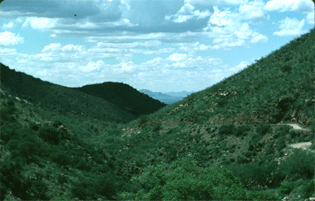 box canyon